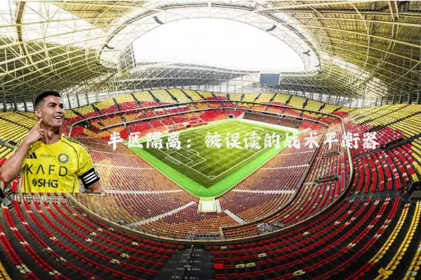半区隔离：被误读的战术平衡器